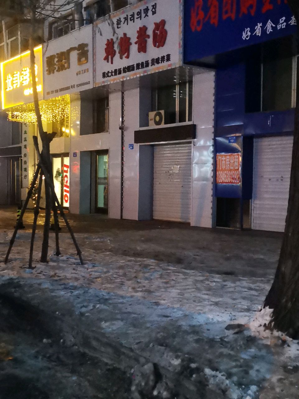 北有·鲜花