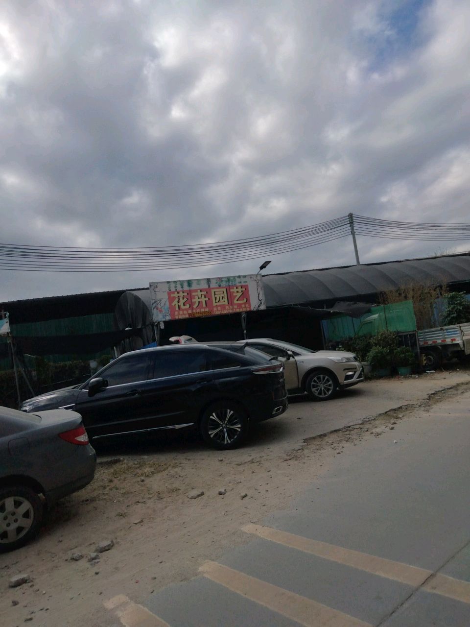 花卉园艺