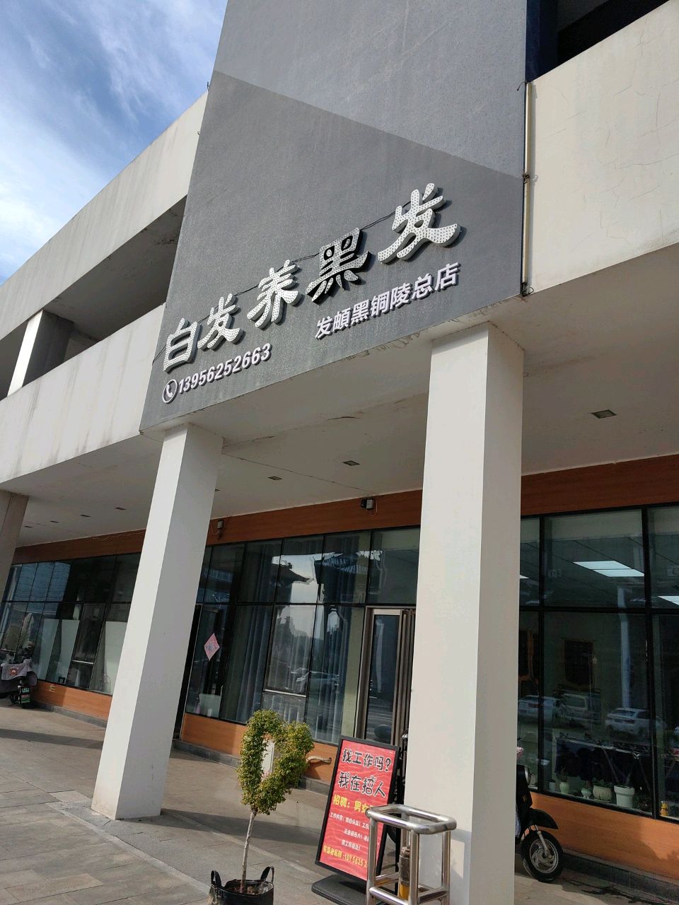 白发养黑发