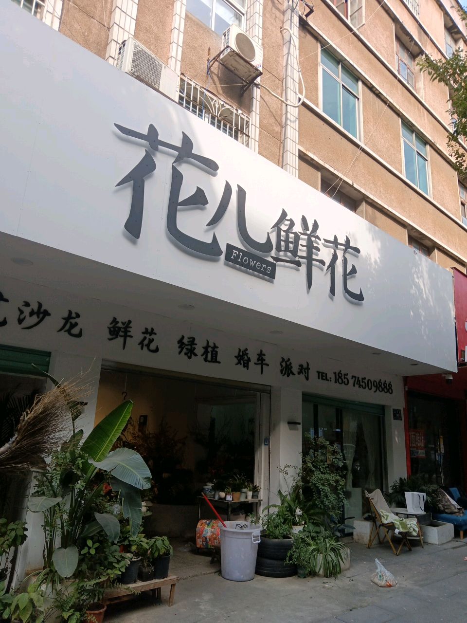 花儿鲜花