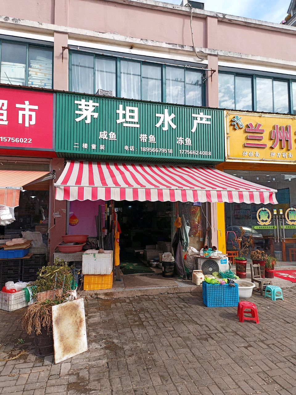 茅坦睡产