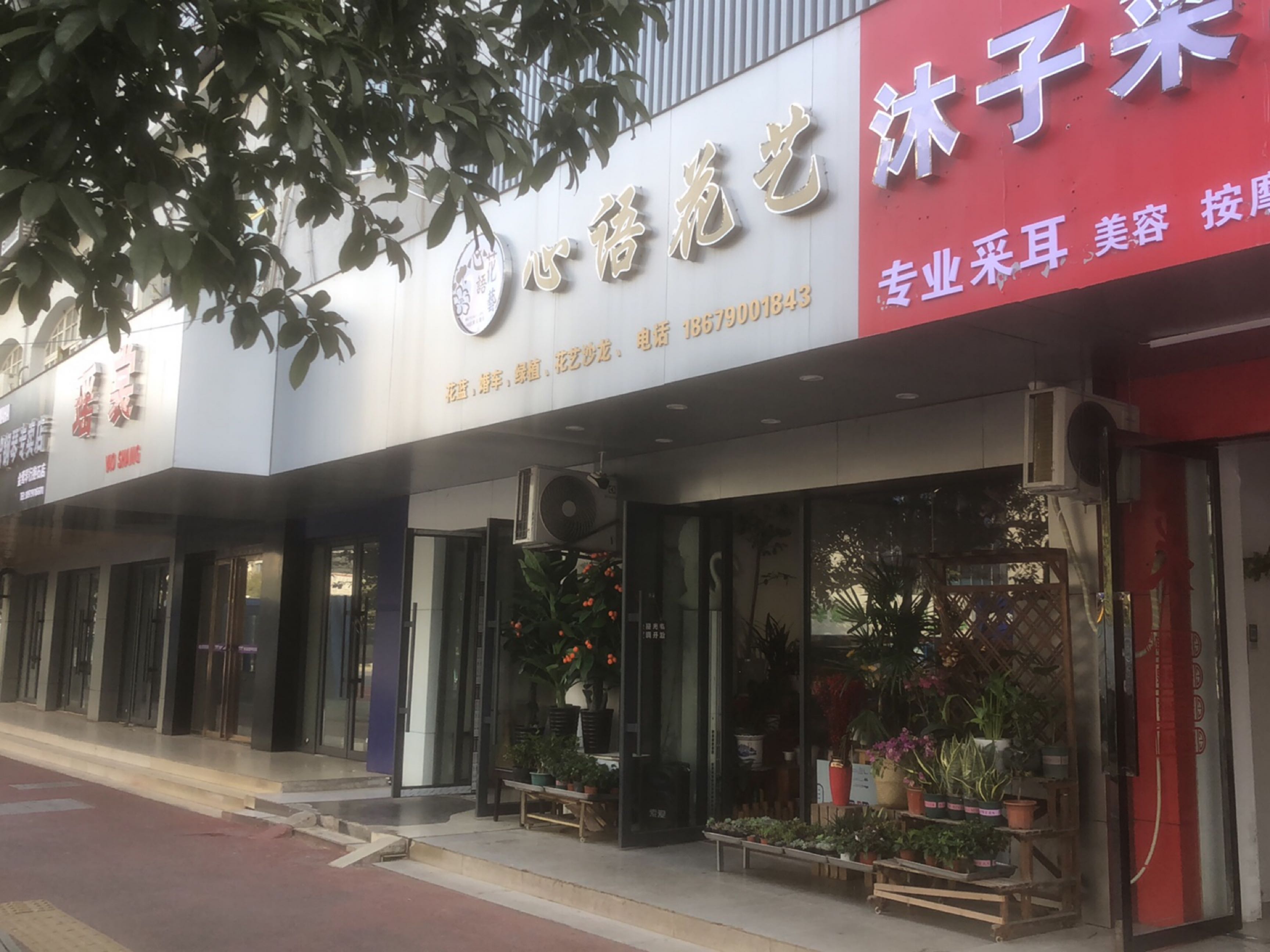 沐子采耳