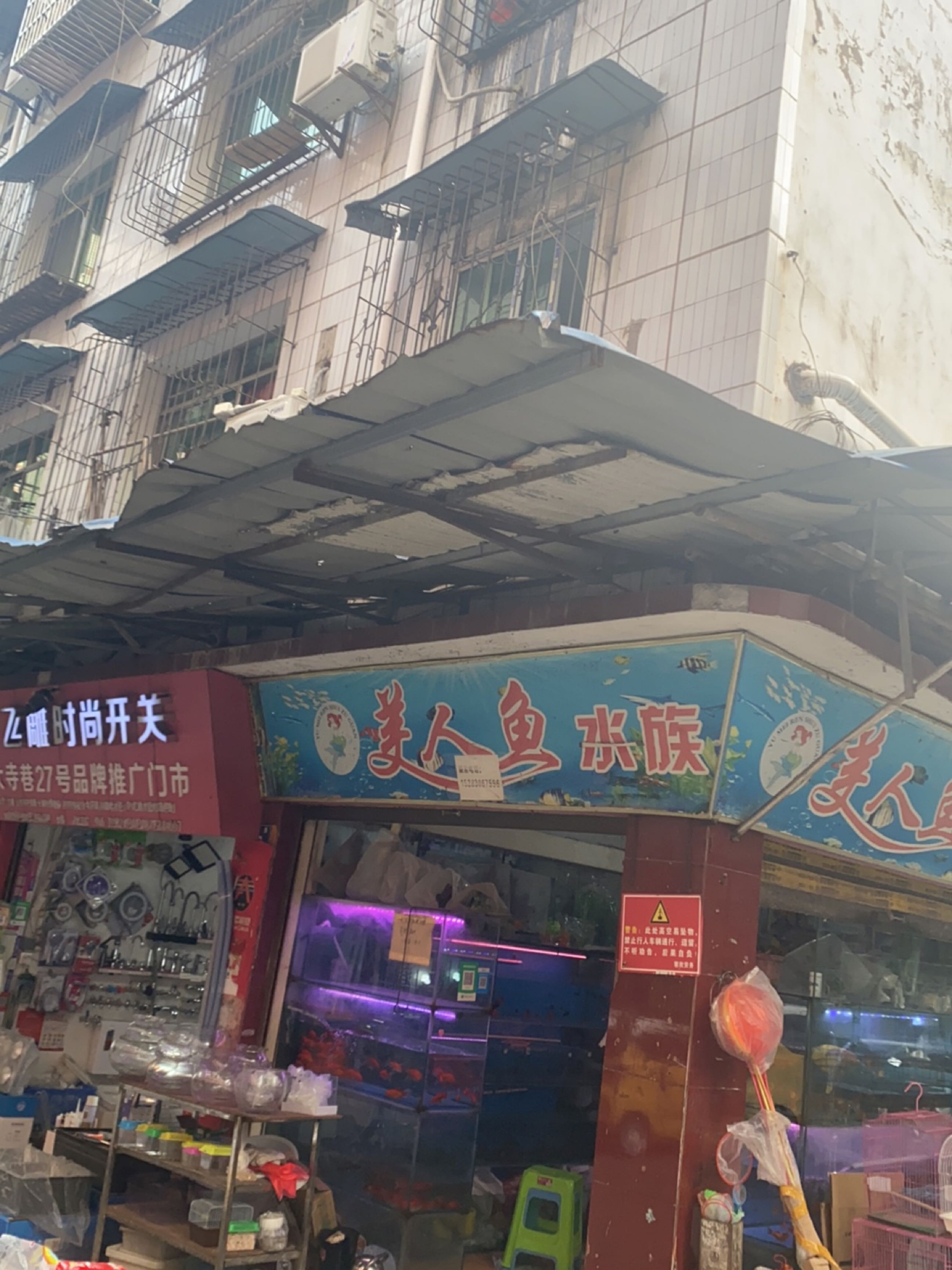 美人鱼水族馆