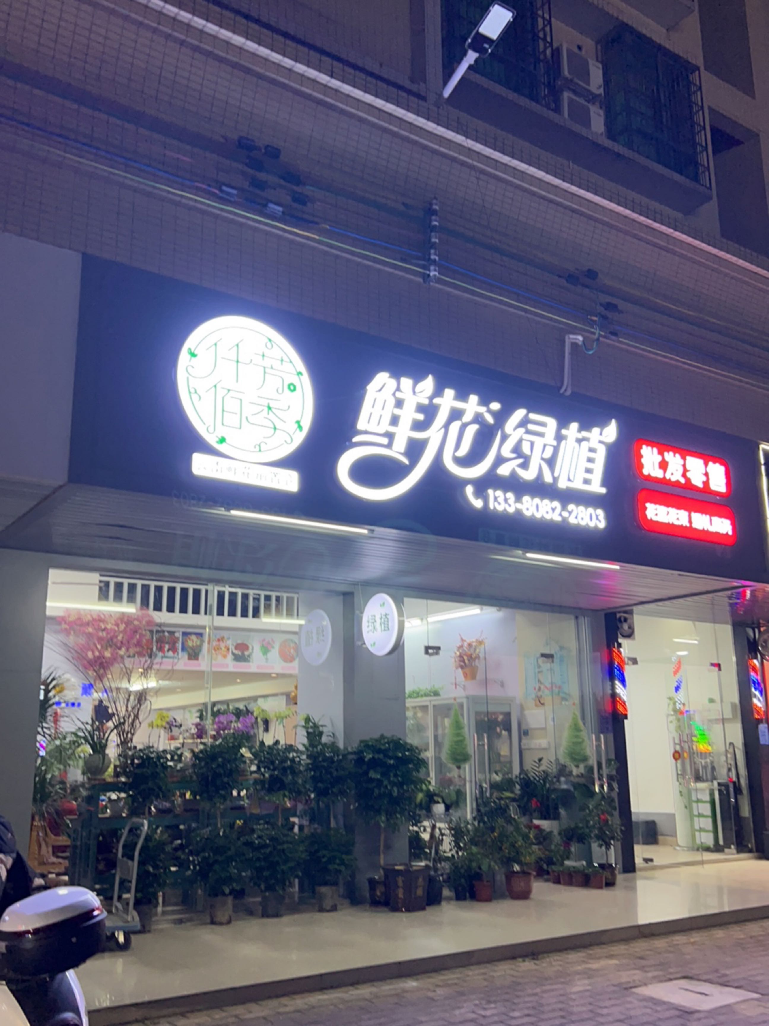 仟芳佰季鲜花绿植批发