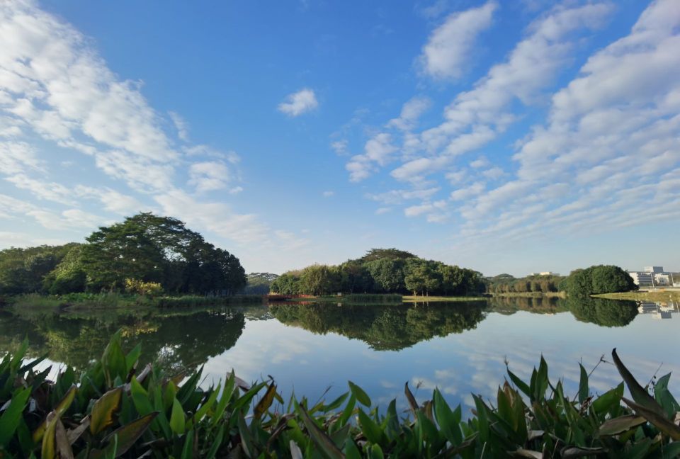 大圳埔湿地公园
