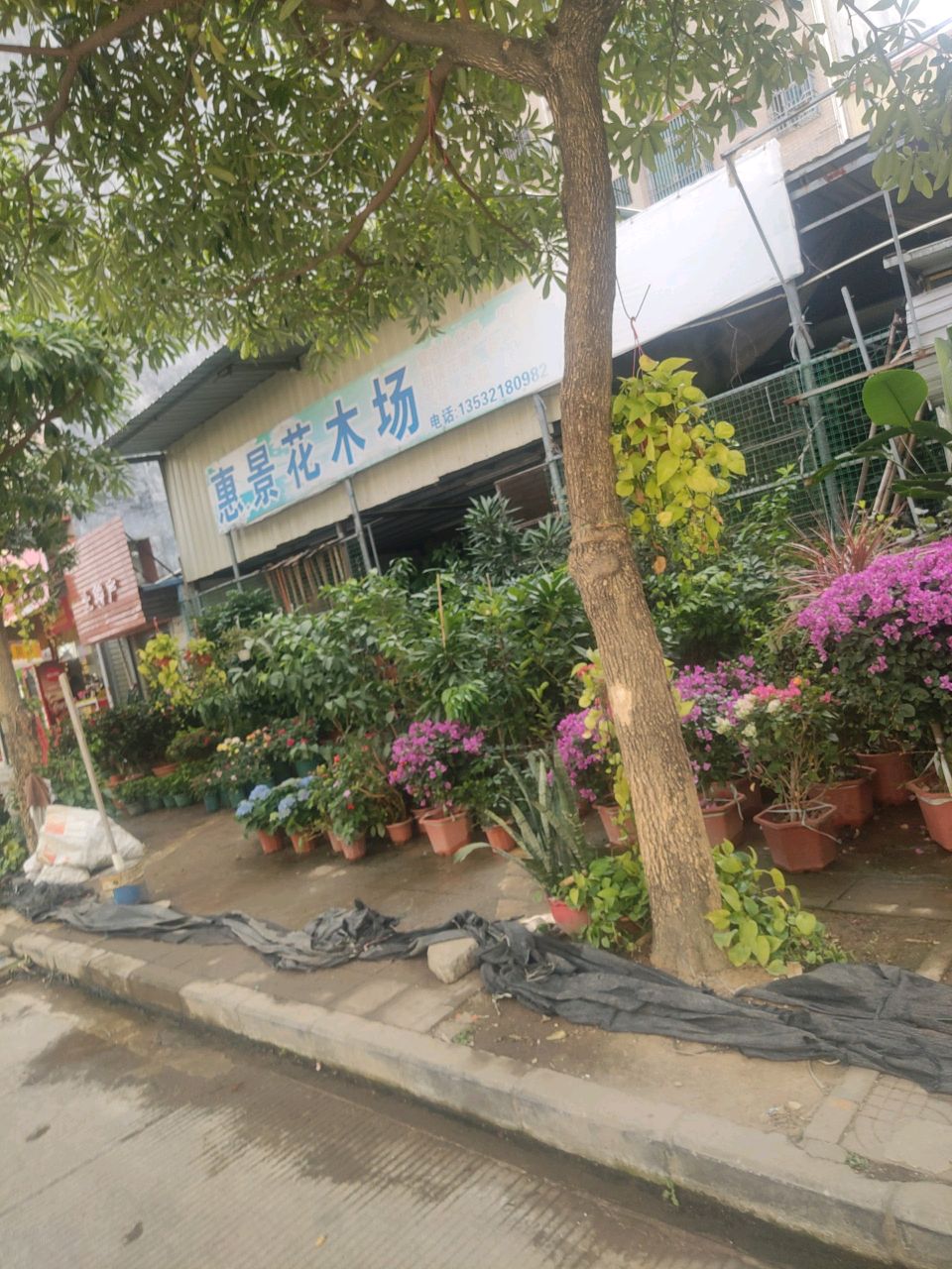 惠景花木场(二分店)