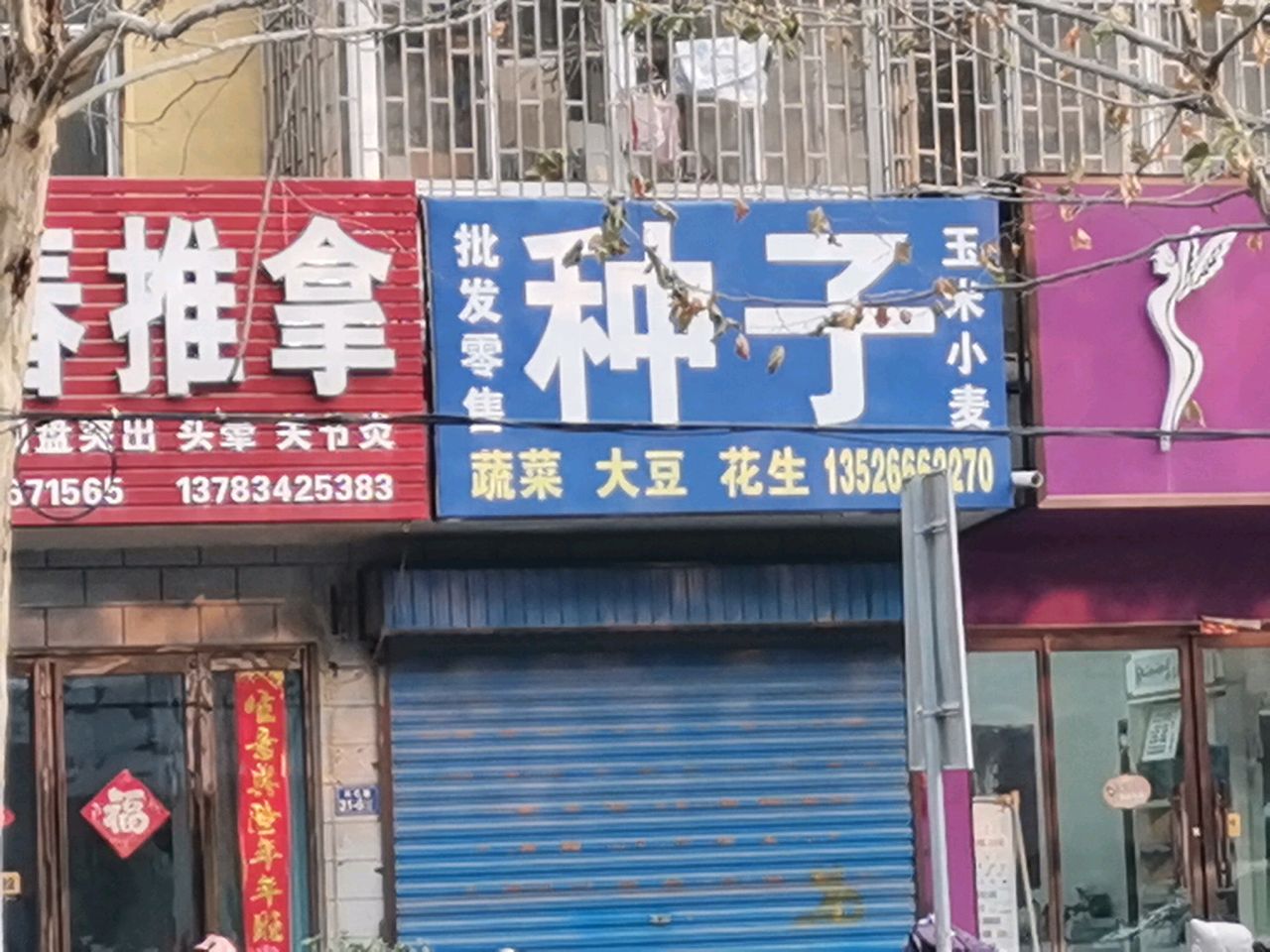 荥阳市种子批发零售