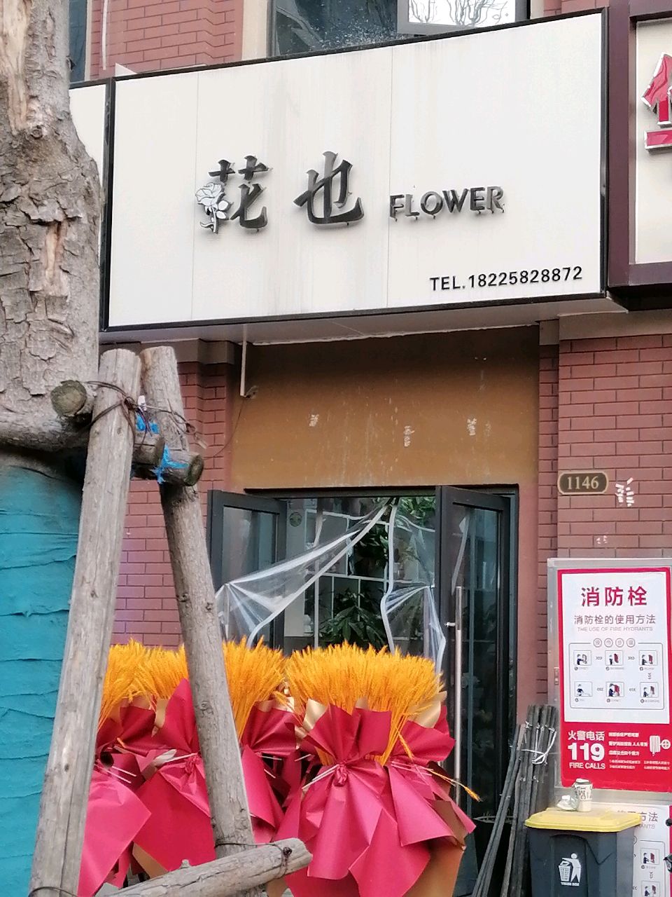花也FLOWER