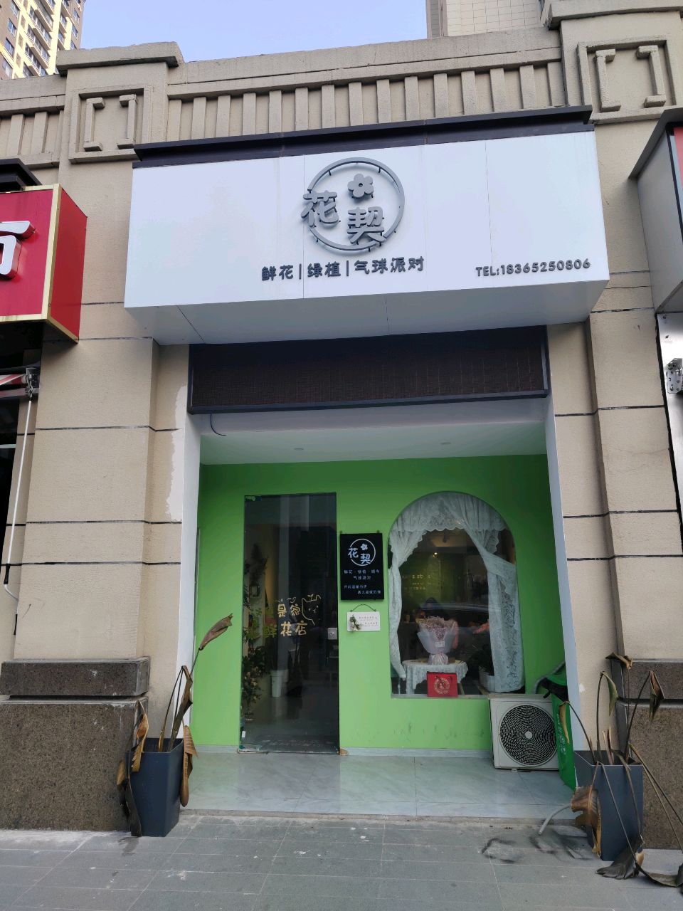 花契新华绿植