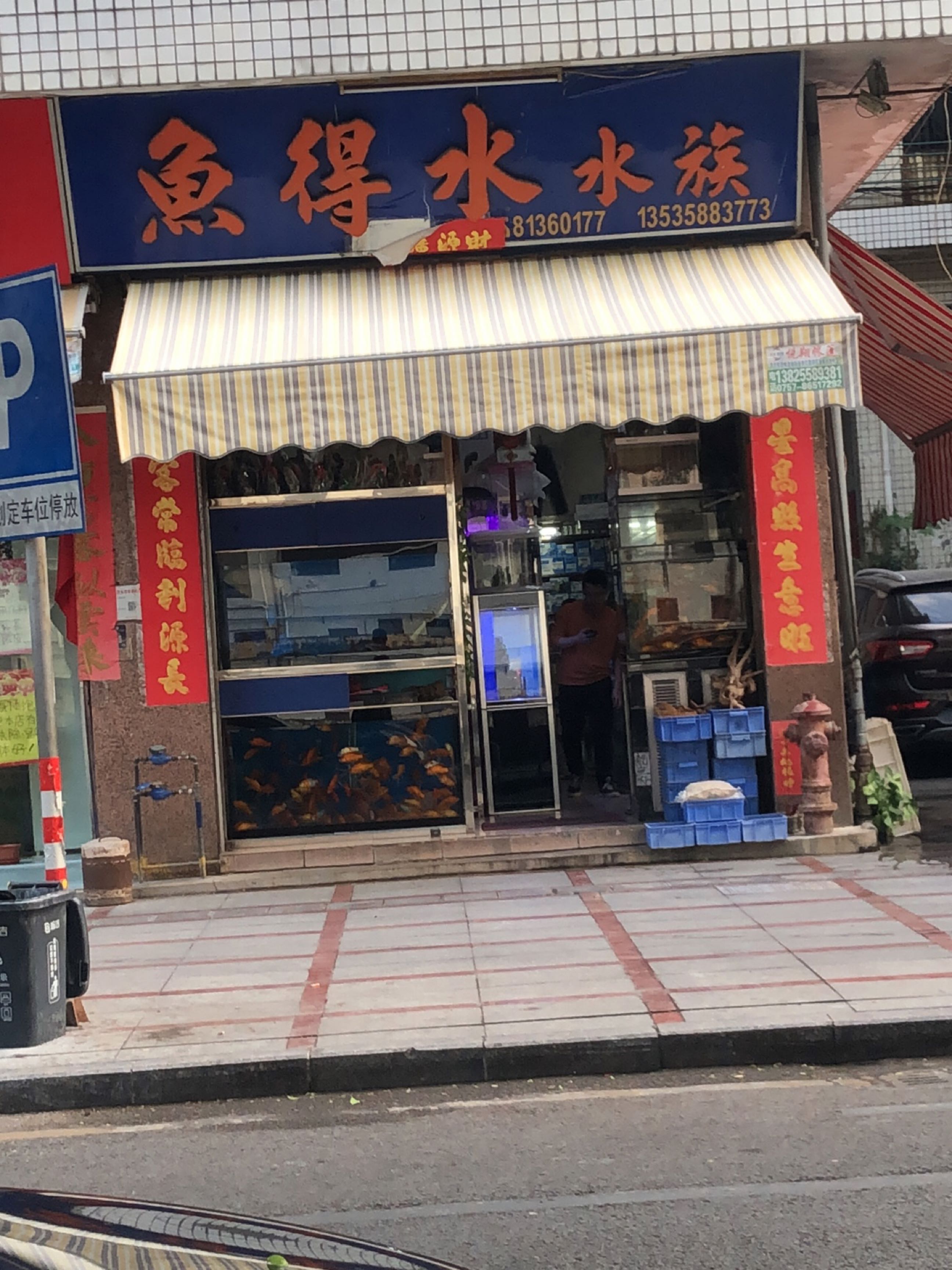 鱼得水水族(西樵供销大厦店)