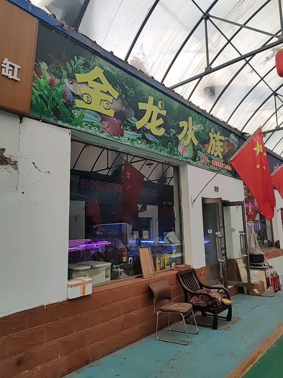 金龙水族