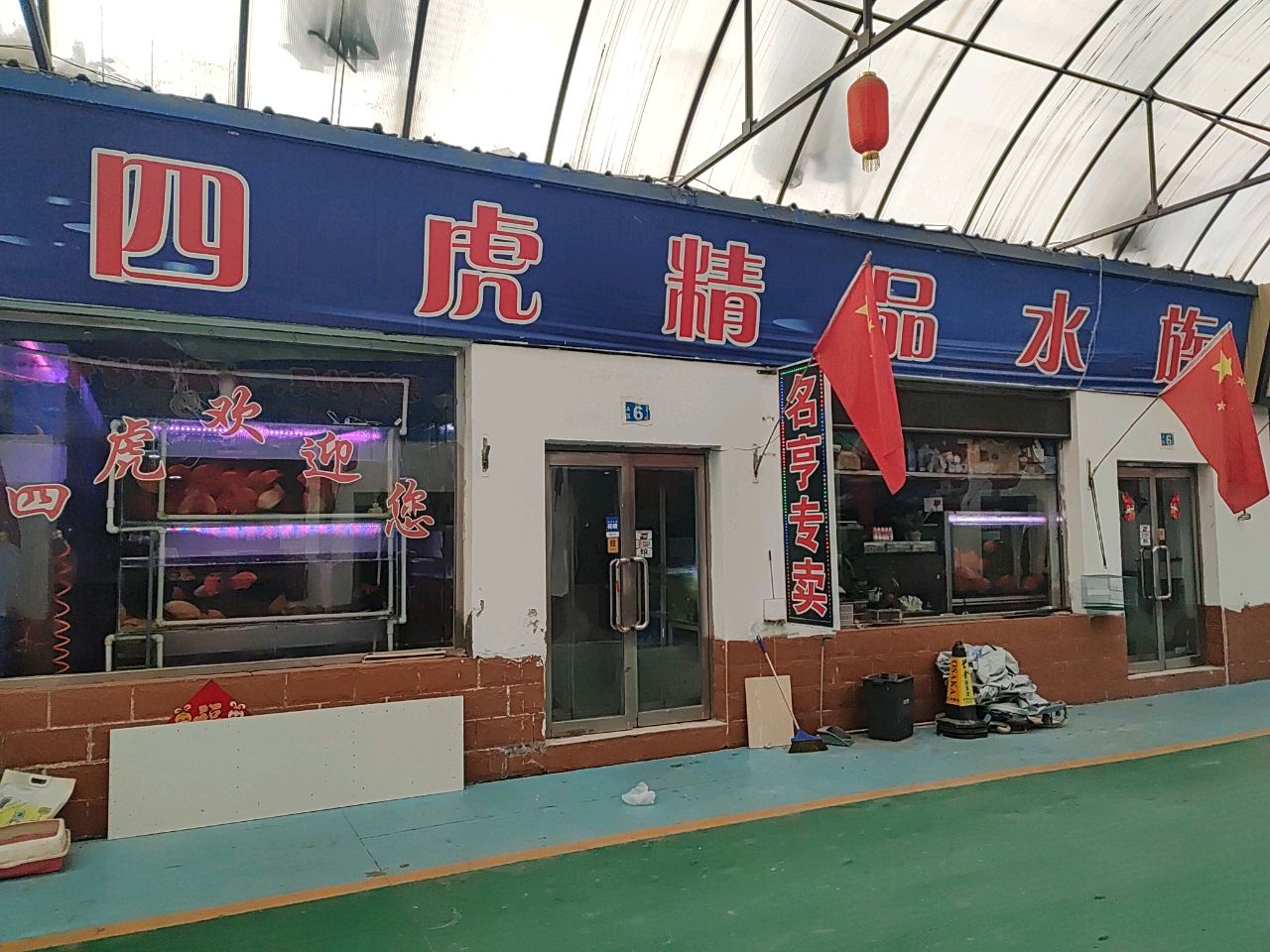 四虎精品水族