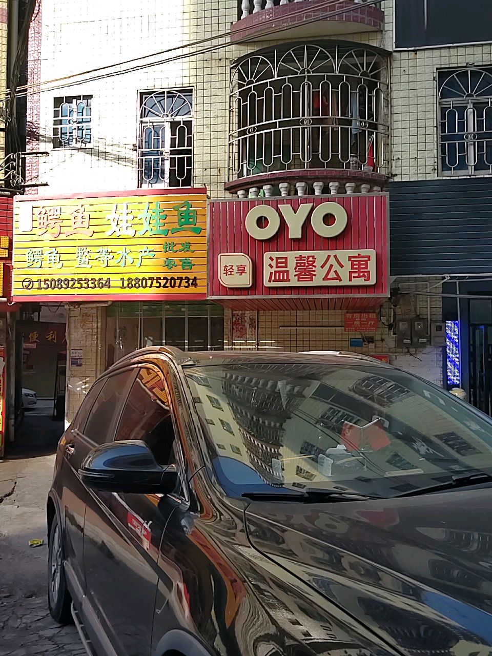 辉记鳄鱼娃娃鱼