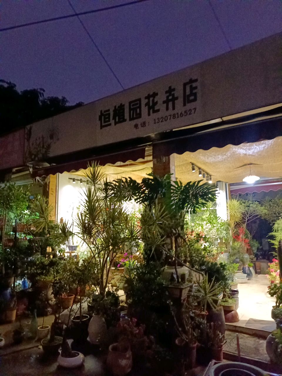 恒植园花卉店