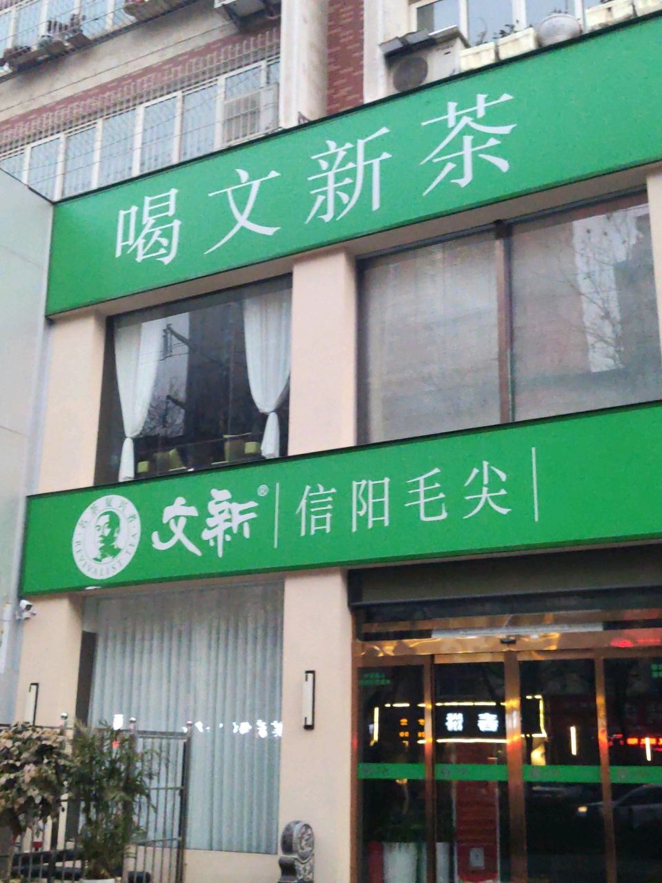 文新信阳毛尖(金雀路店)