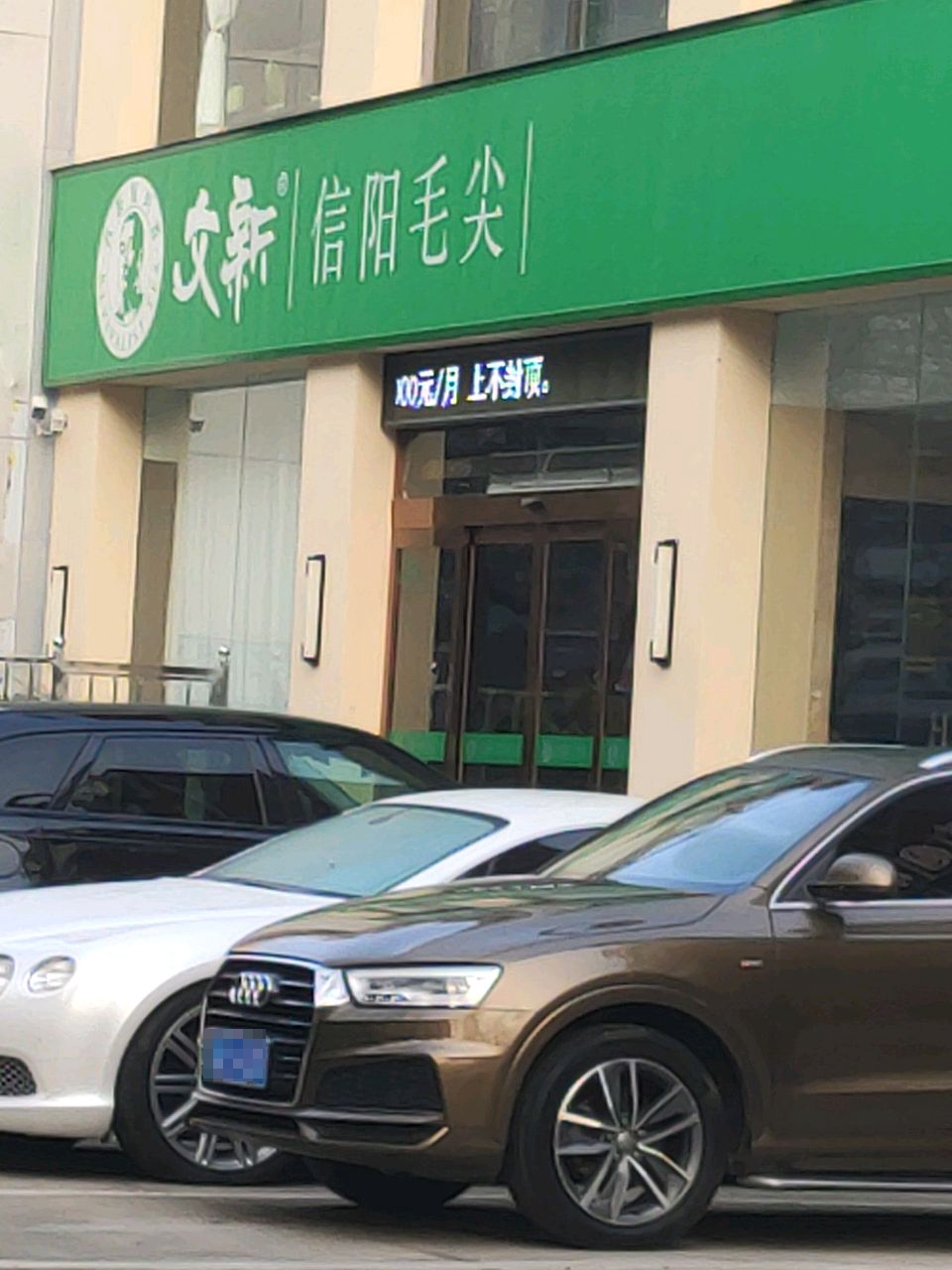 文新信阳毛尖(金雀路店)