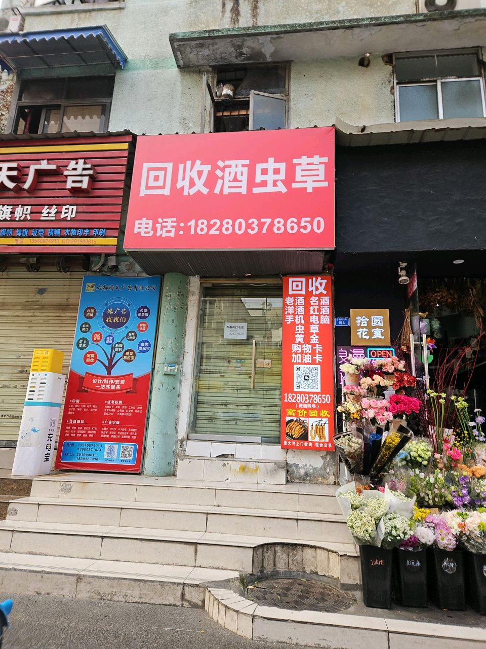 回守酒虫草