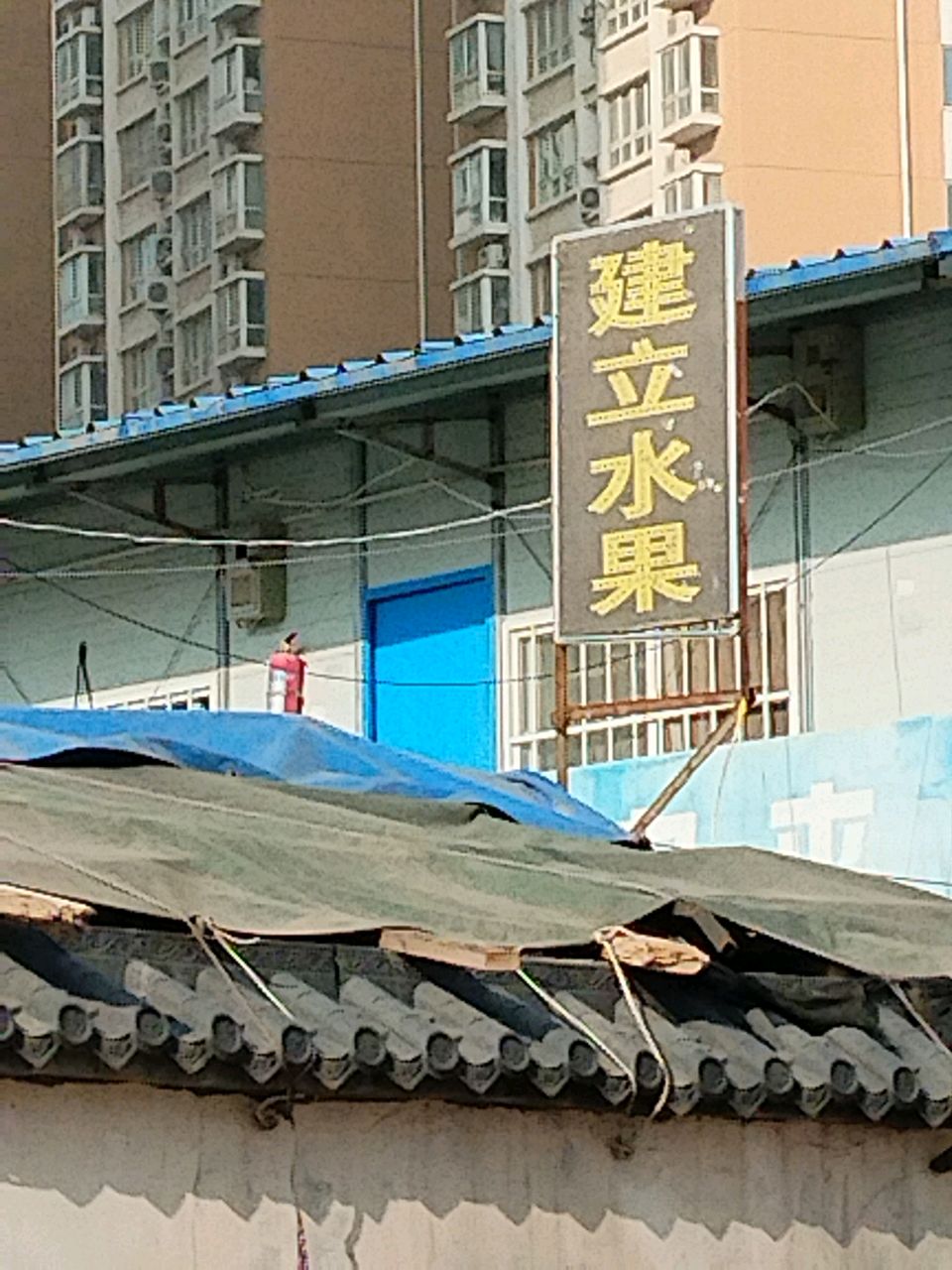 建立水果