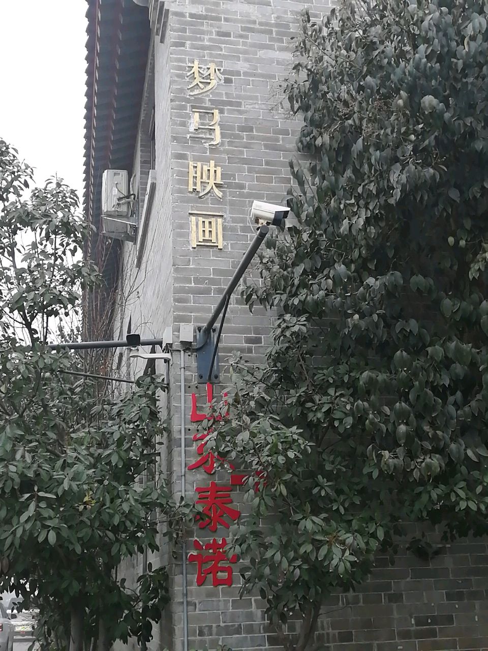梦马映画摄影(旗舰店)