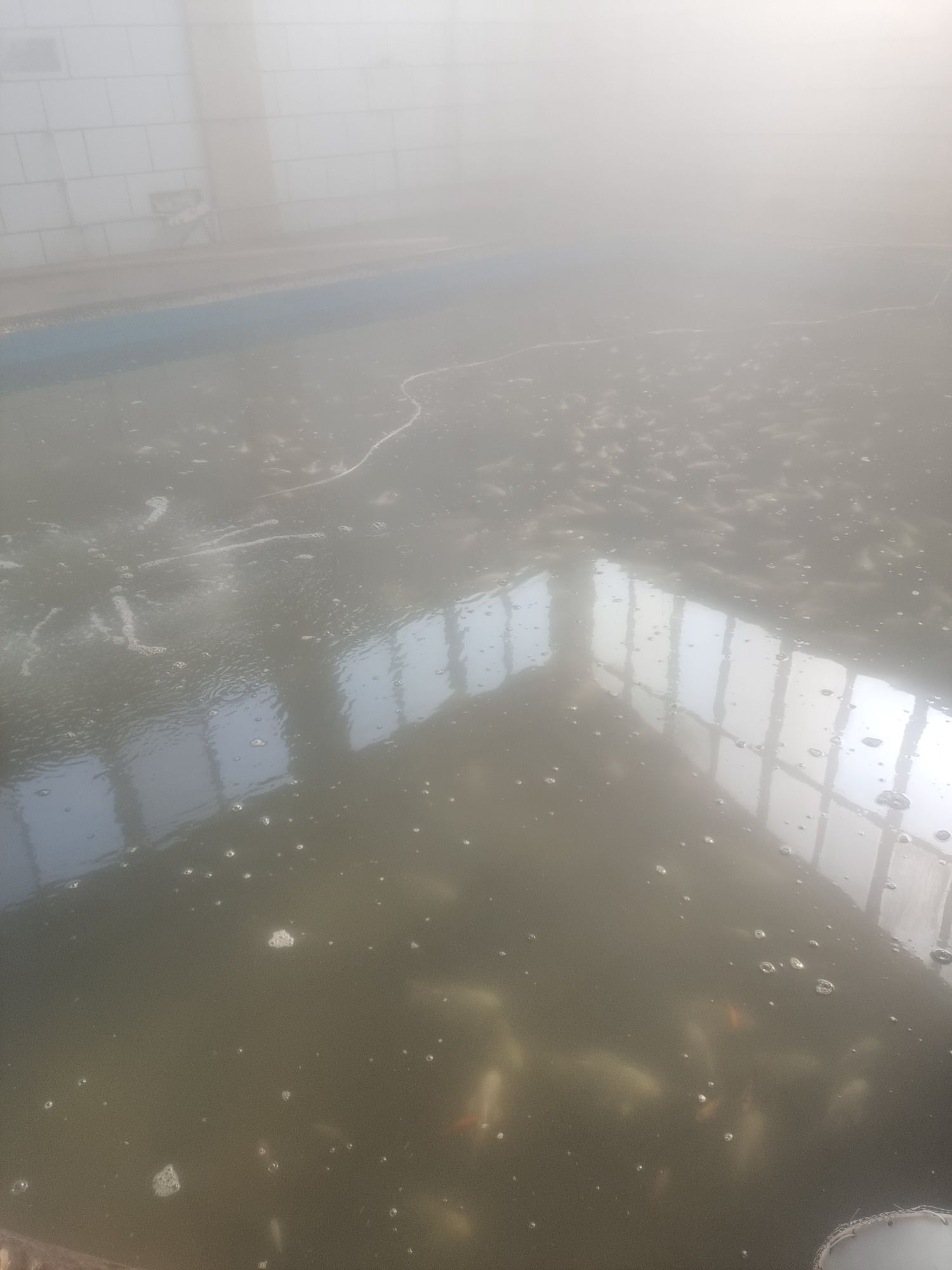 隋城龙泰温泉