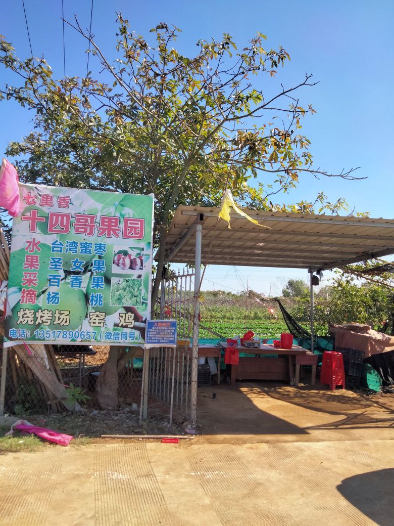 七里香十四哥果园