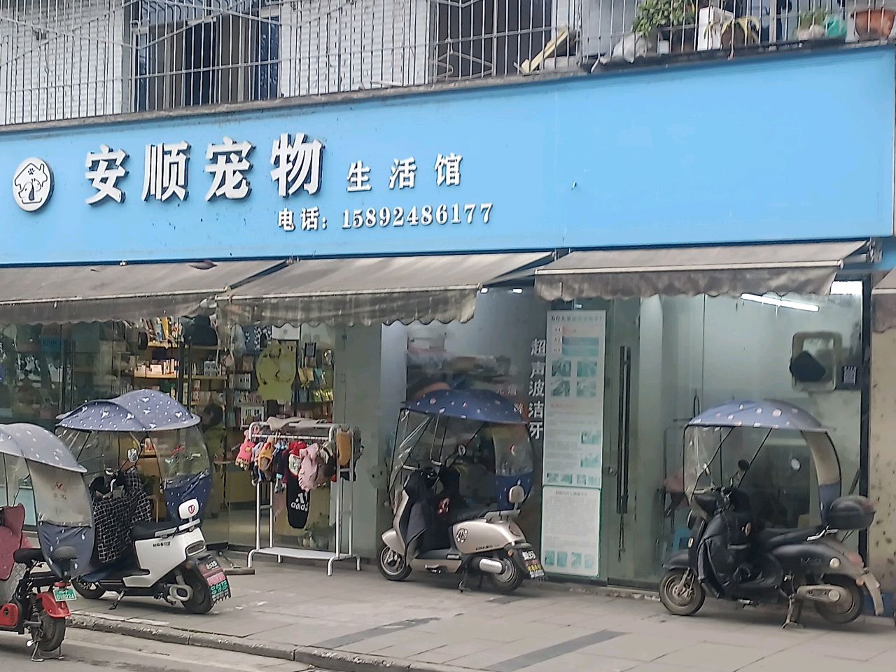 安顺宠物生活馆