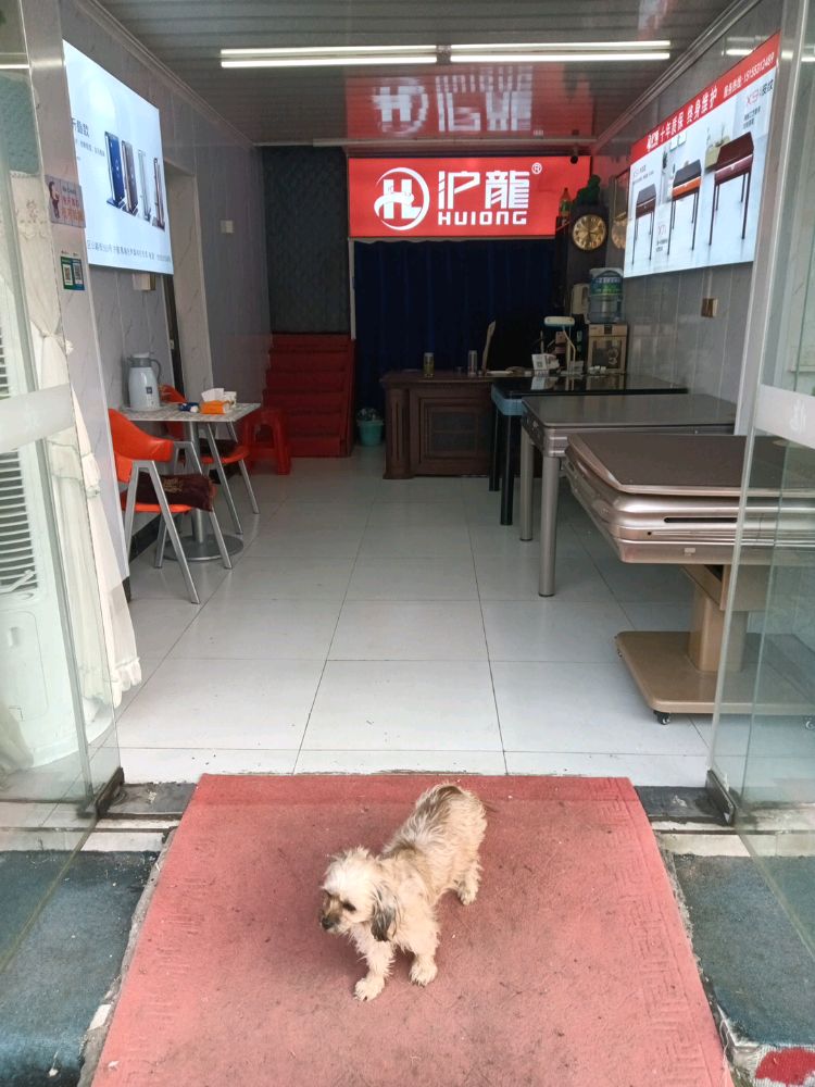 沪龙稿端无声麻将机