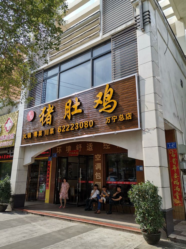 叶记猪肚鸡(宝安椰林湾店)