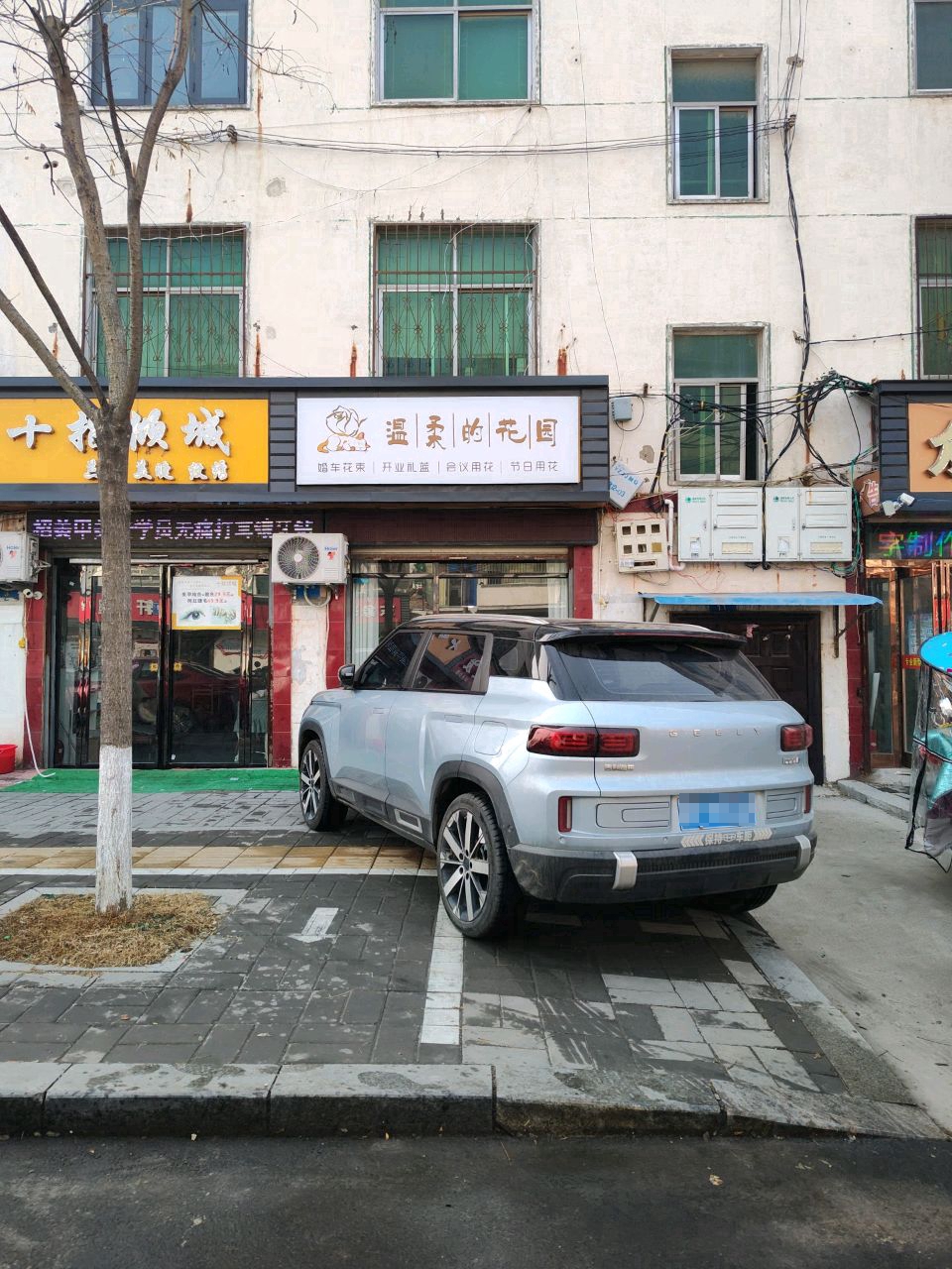 淮阳区温柔的花园(环保路店)