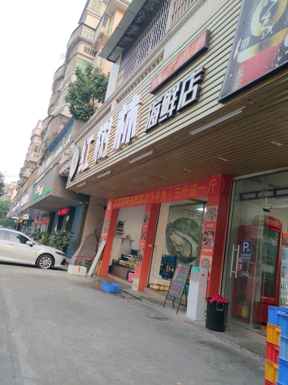 红树林海鲜店(礼乐文昌店)