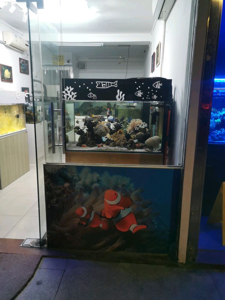 荣雄小丑鱼珊瑚店