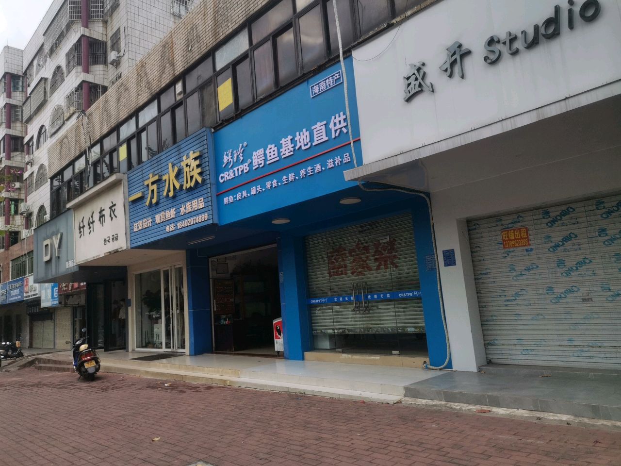 鲜珍鳄鱼基地直供