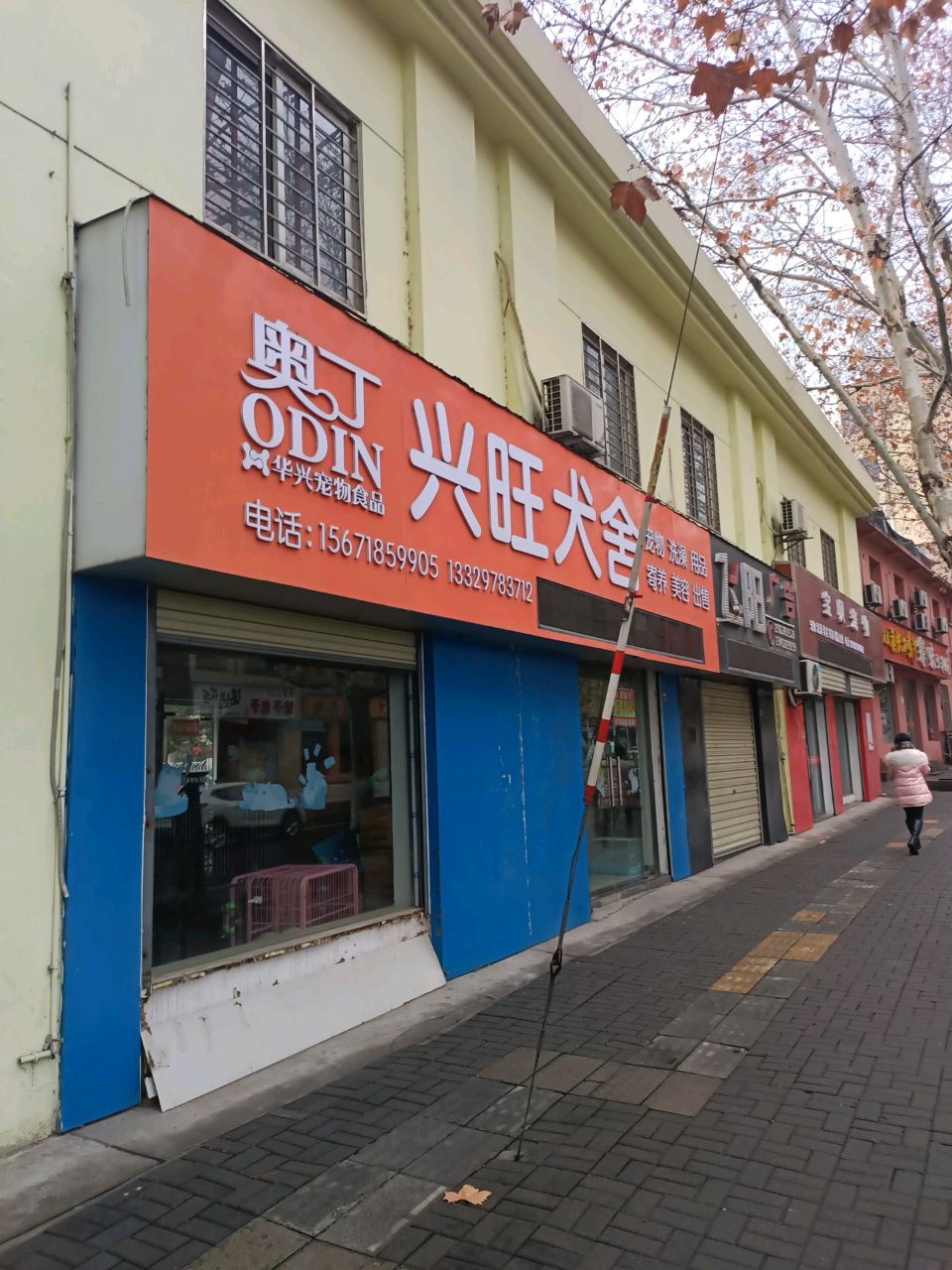 宝贝宠物(老莱子路店)