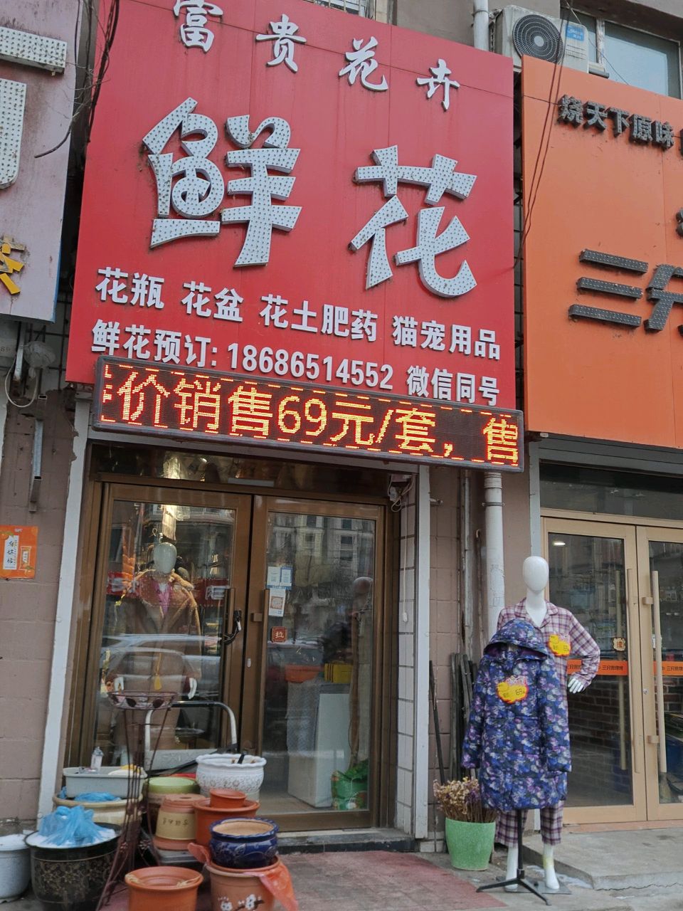 富贵花卉鲜花