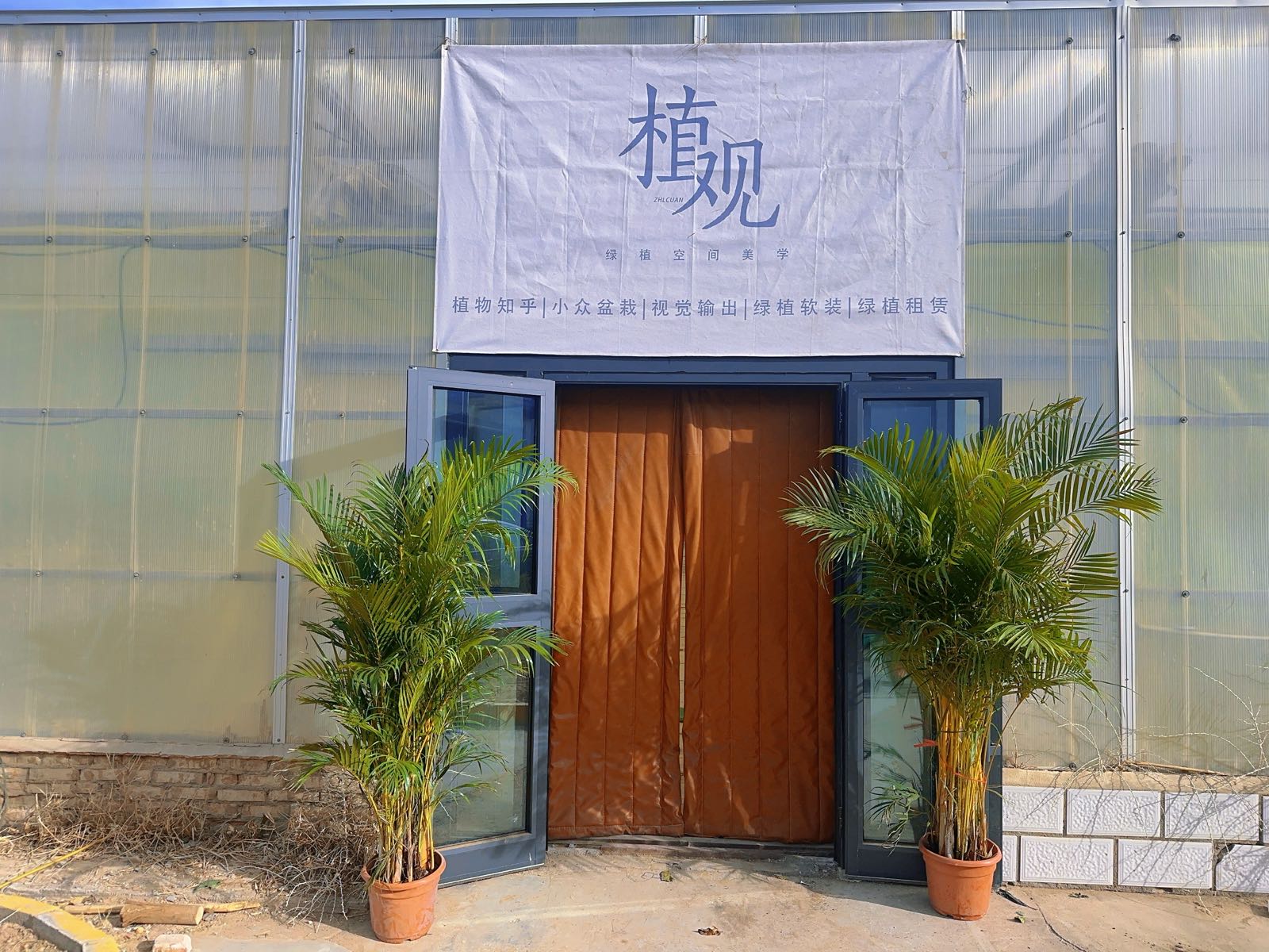 格尔木植观绿植空间美学