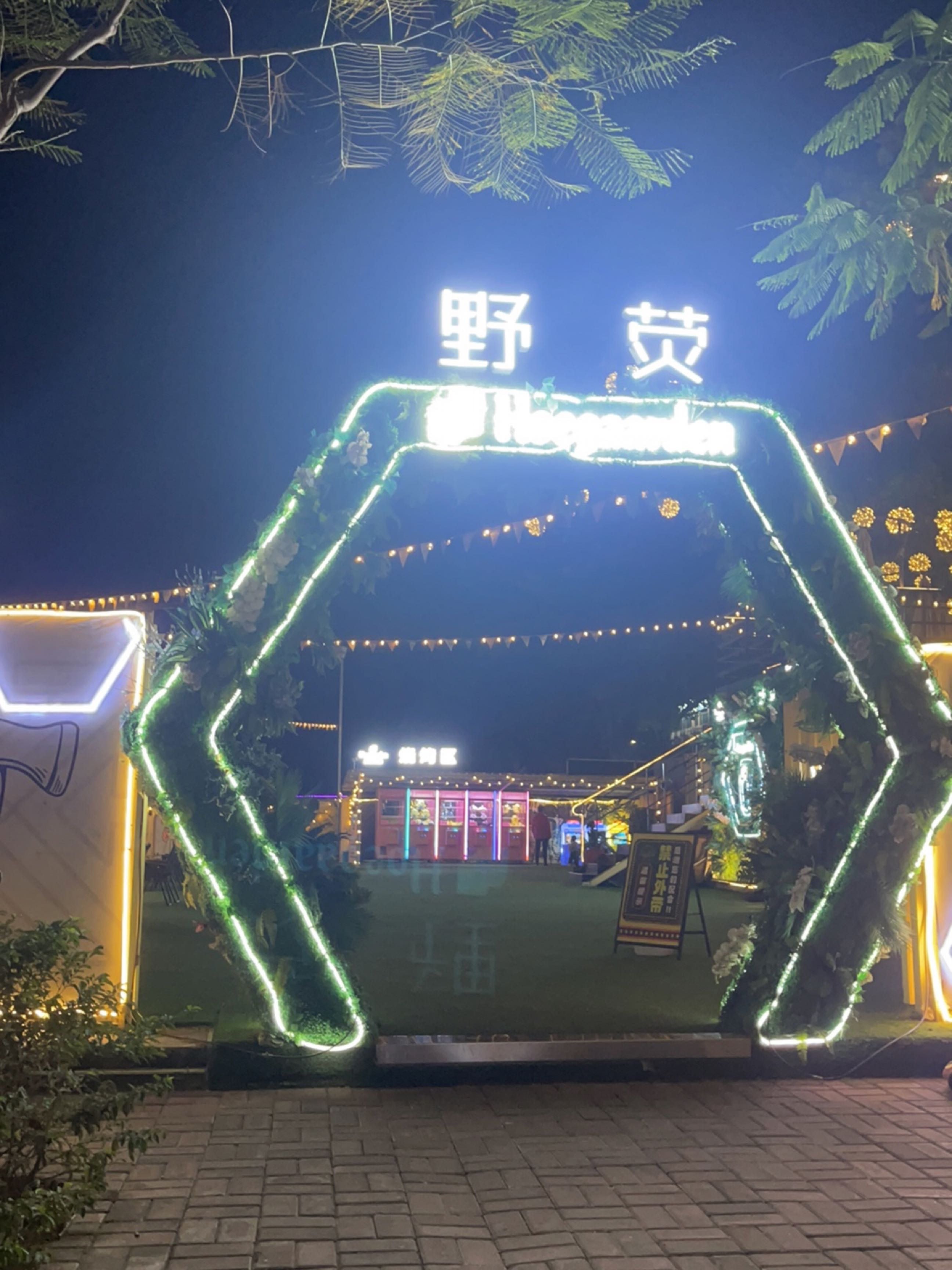 野荧