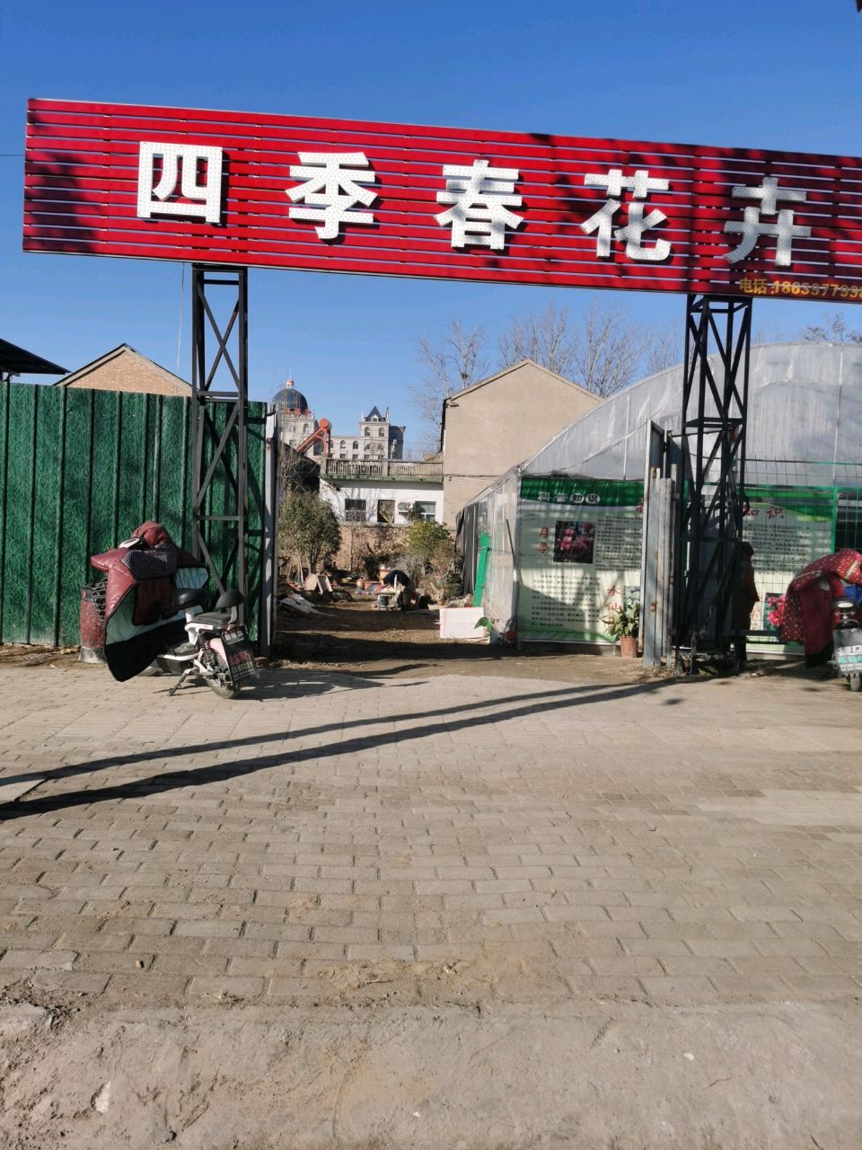 四季春花鸟
