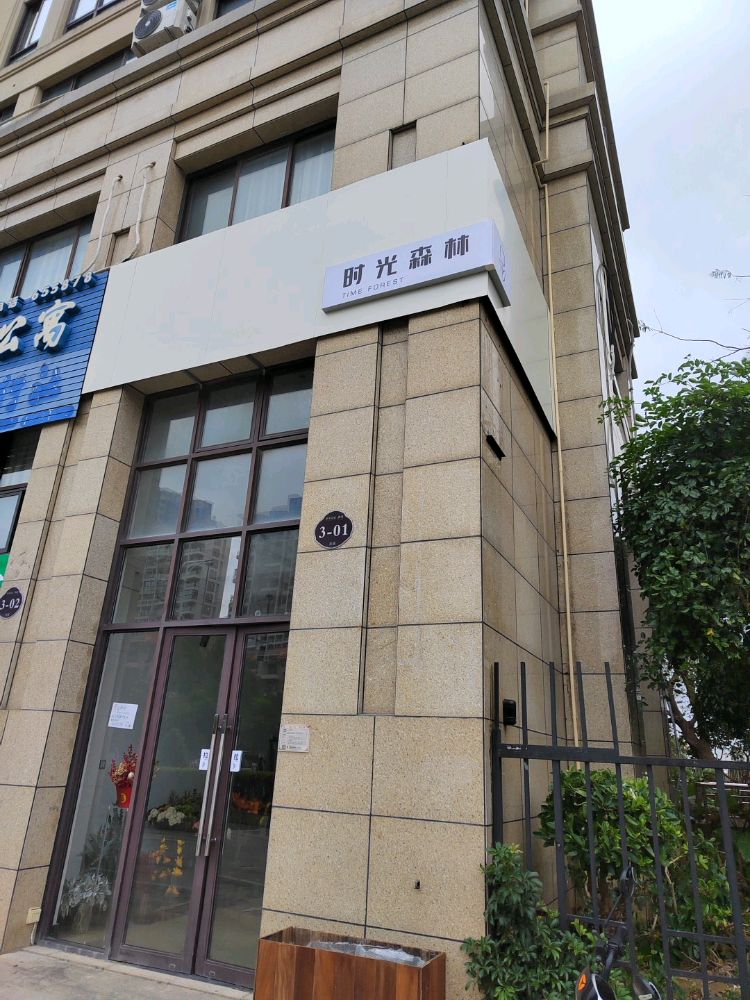 时光森林TimeForest