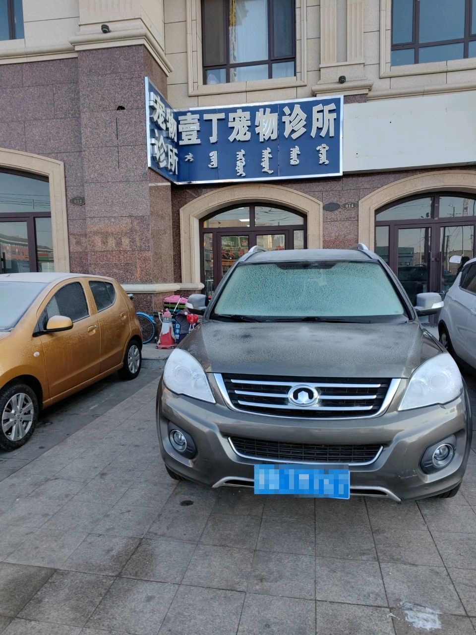 壹丁动物诊所