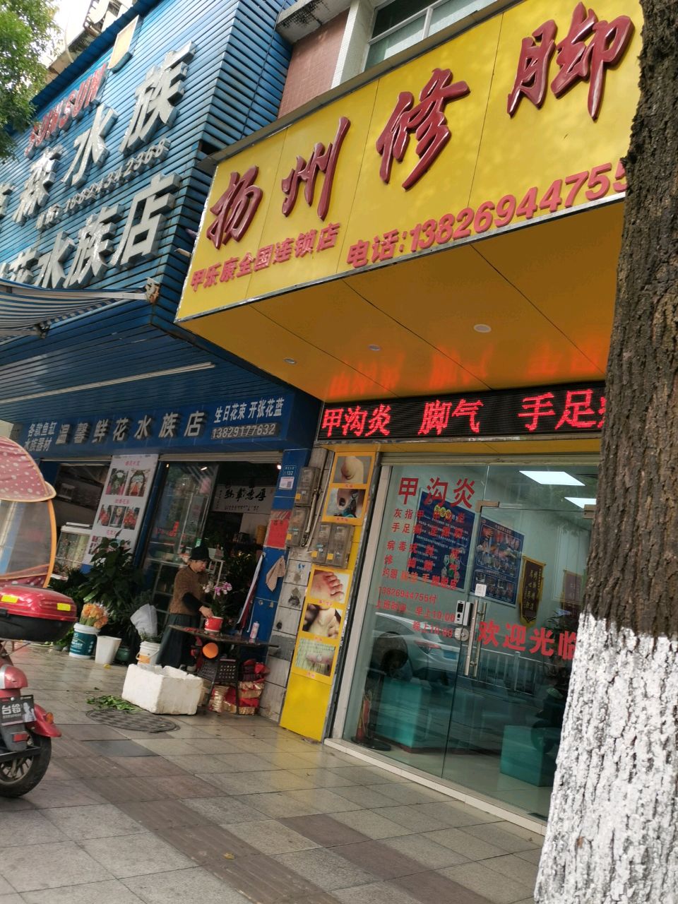 温馨鲜花水族店