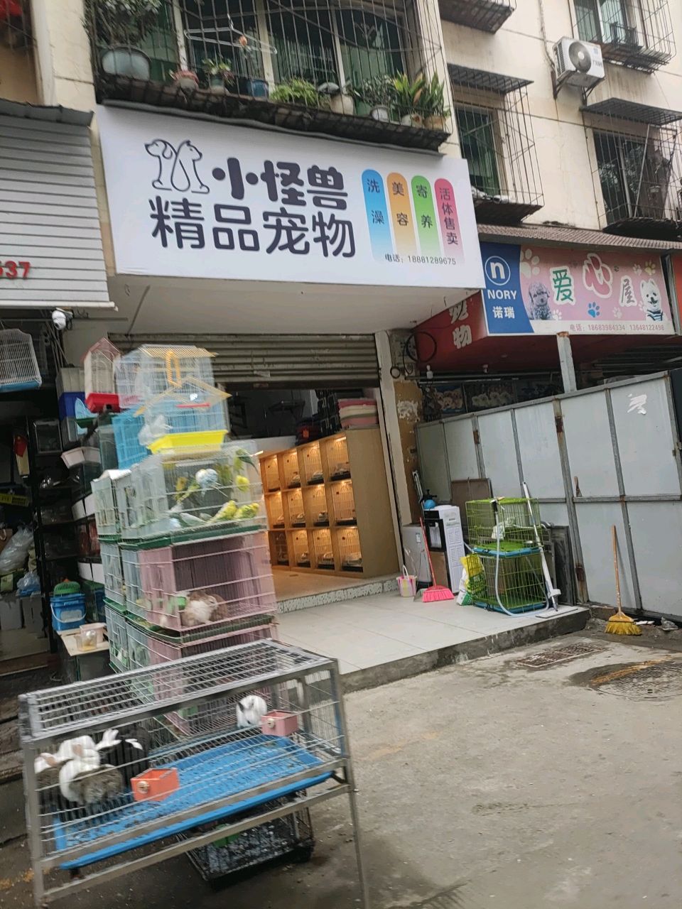 小怪兽宠物店