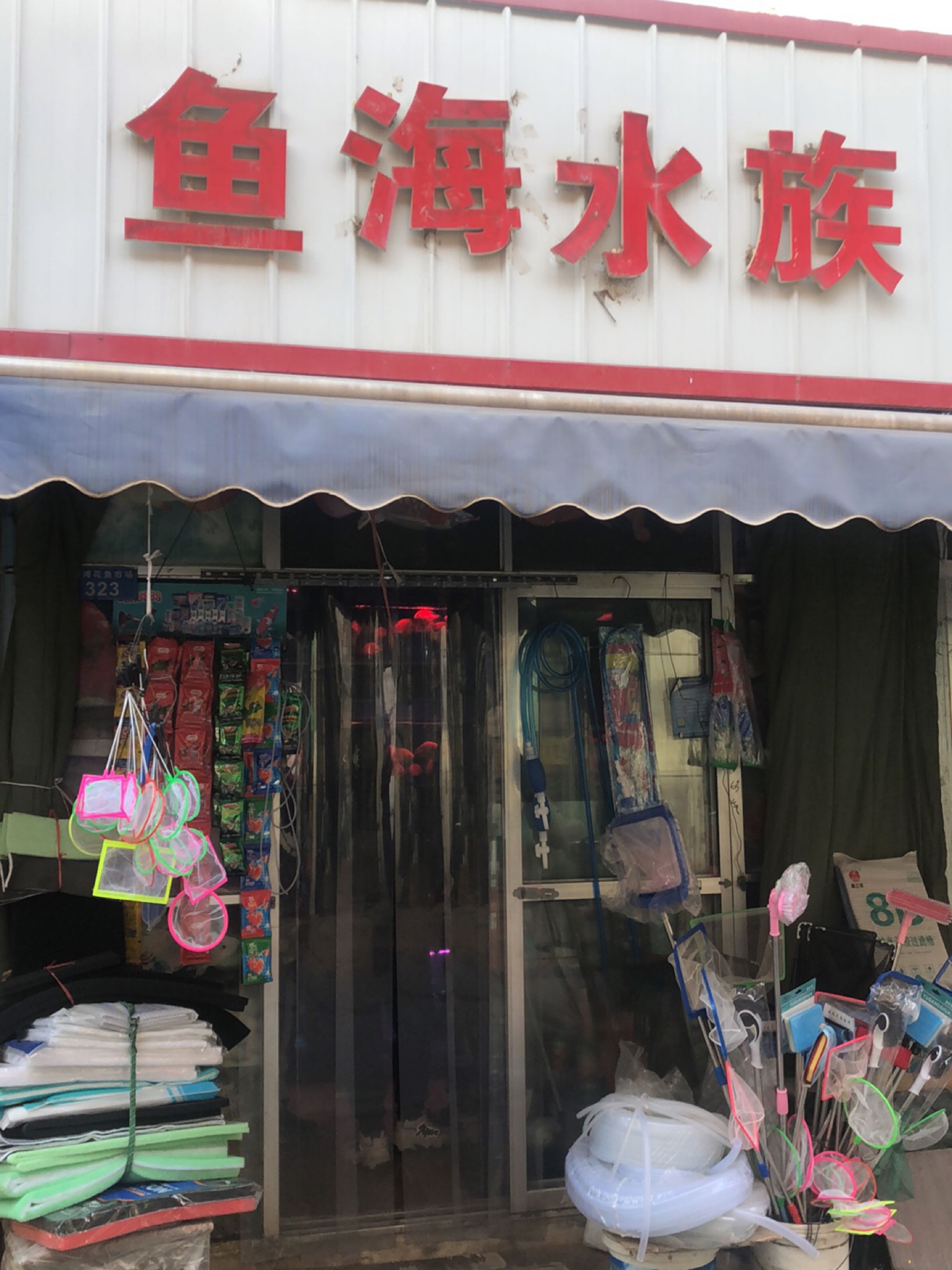 鱼海水族(雁滩花鸟鱼批发市场店)