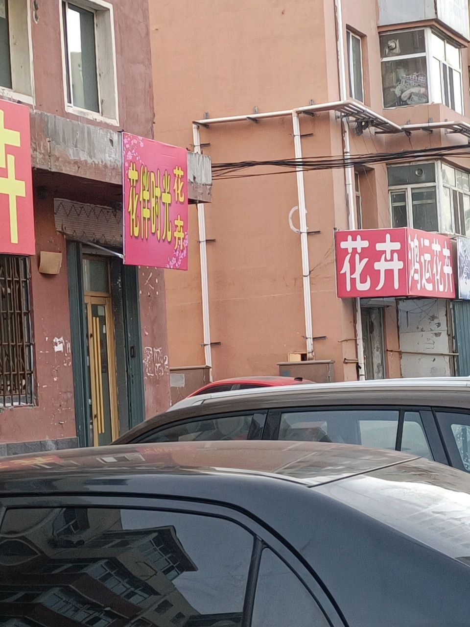 光伴时啖沣花花卉