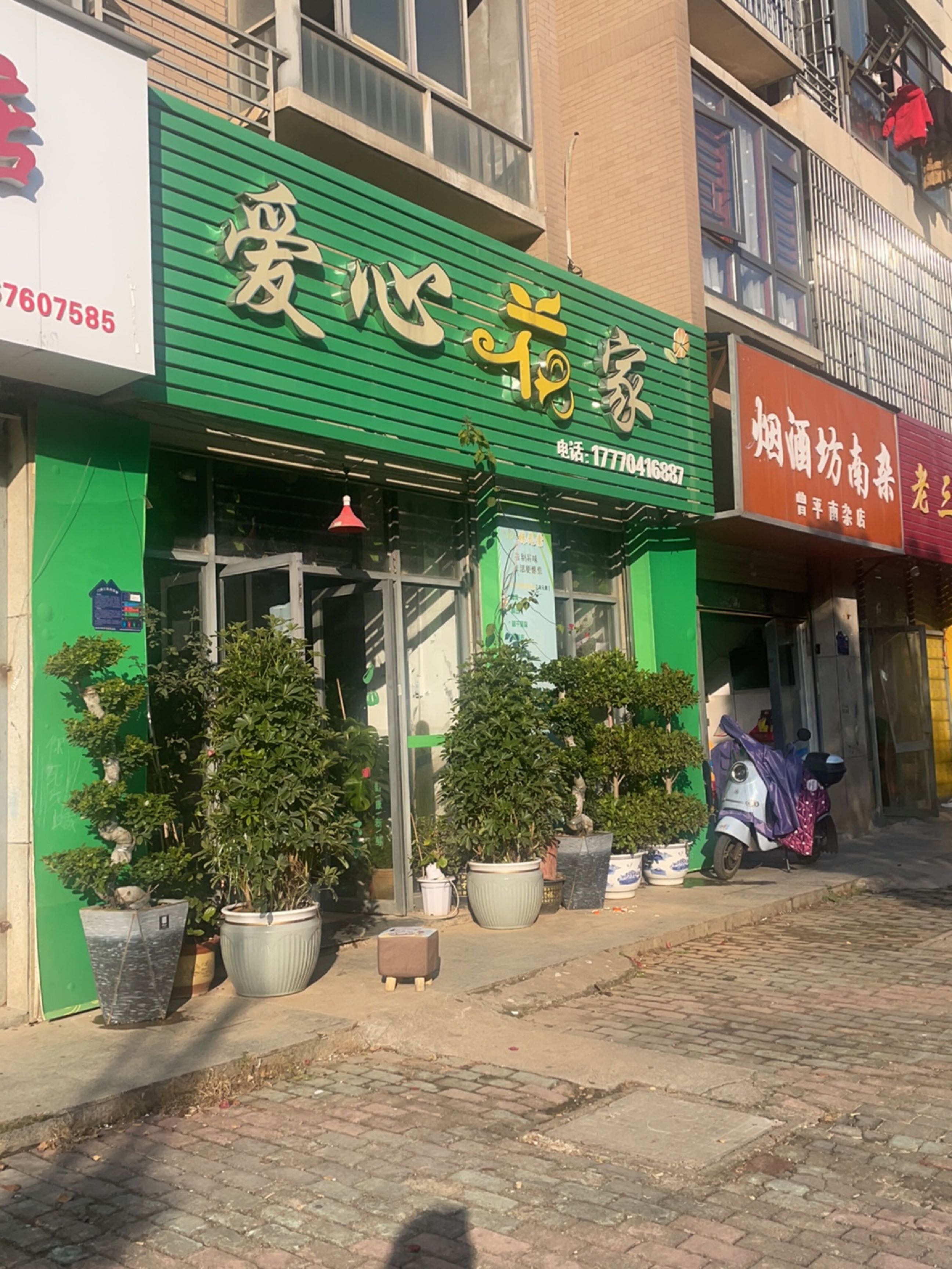 爱心花家(伟星·丽水蓝天店)