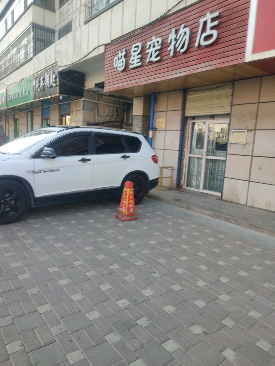 喵星宠物店