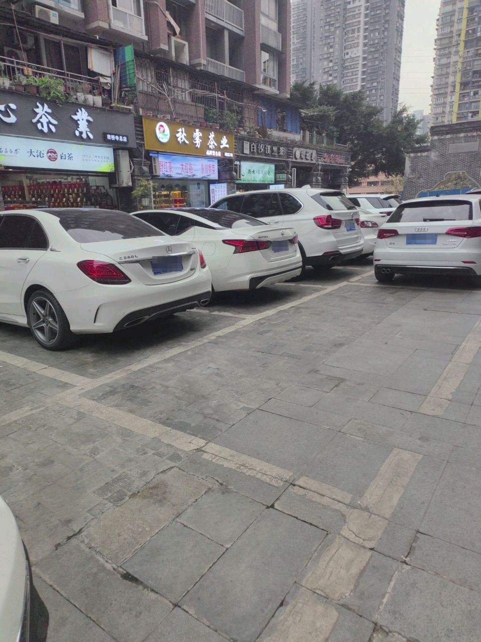 秋雾茶业·姥福顶白茶·品牌运营中心