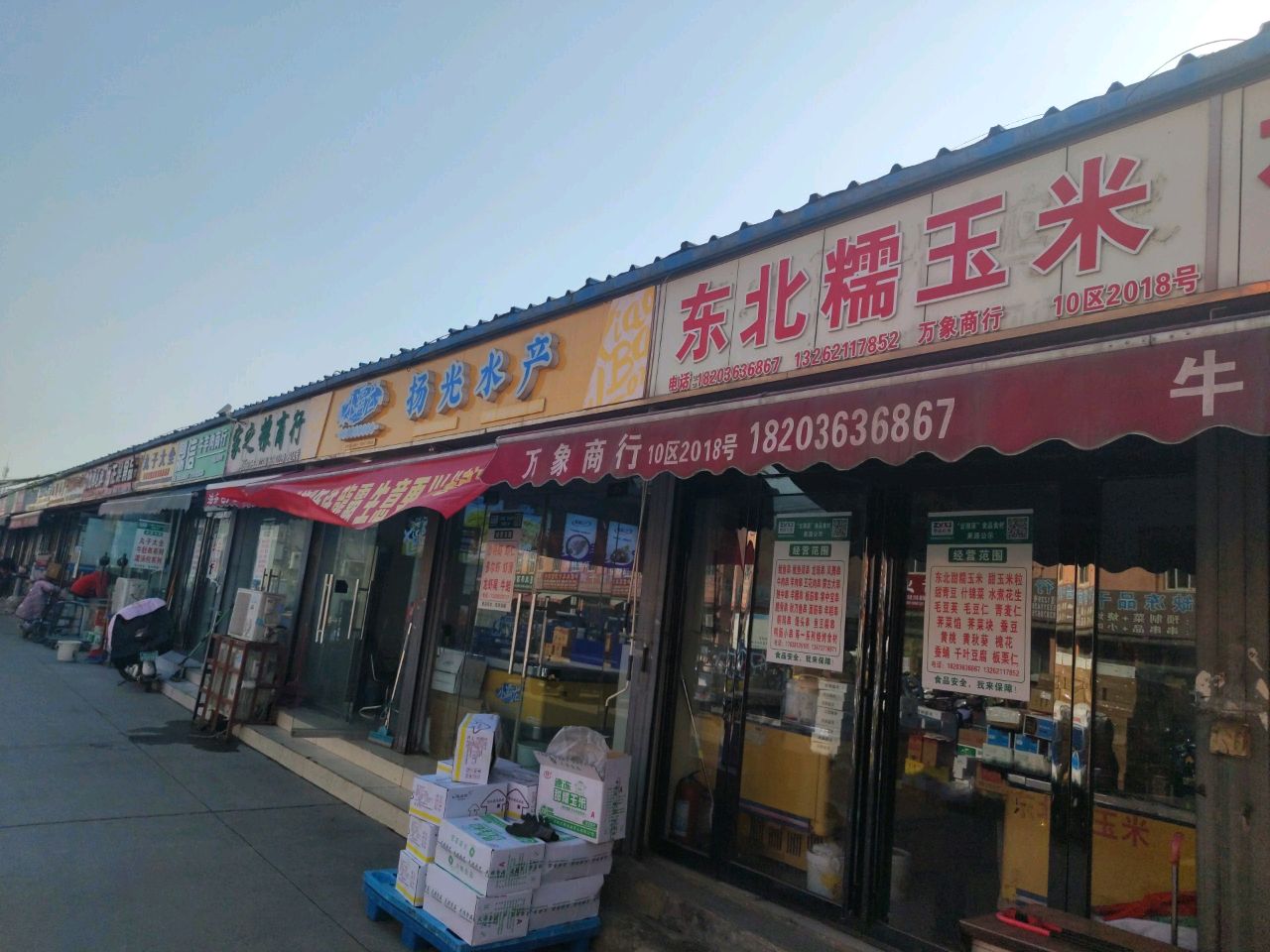 扬光水产扬光虾(信基店)