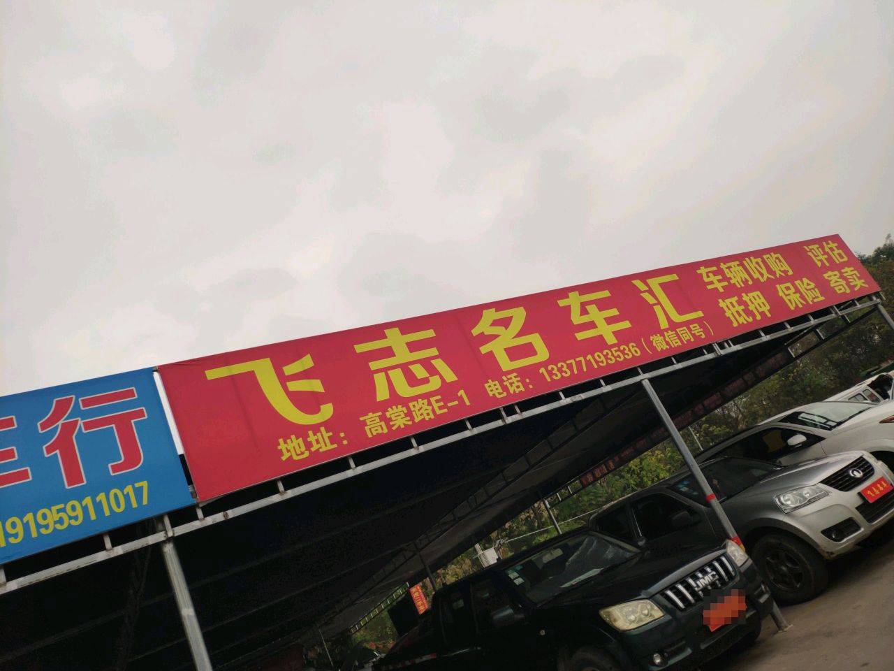 广西飞志名车