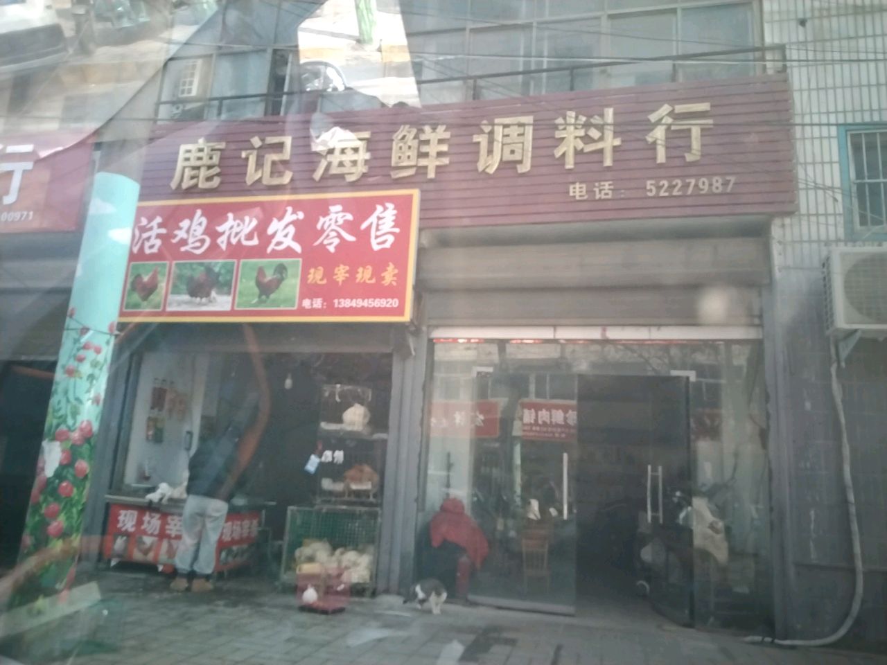 沈丘县槐店回族镇活鸡批发零售