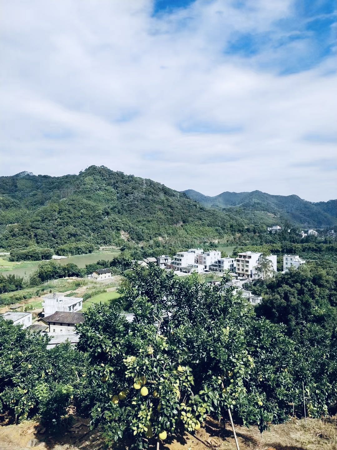 白饭村